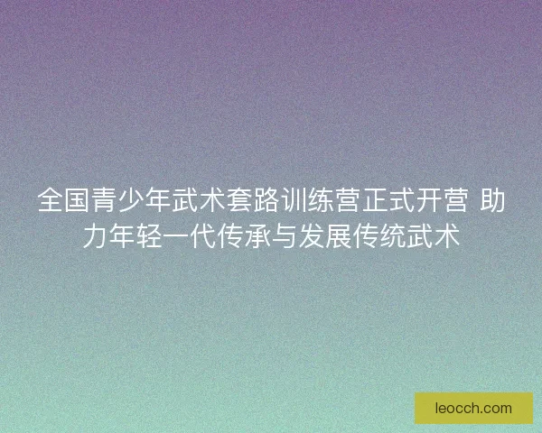 全国青少年武术套路训练营正式开营 助力年轻一代传承与发展传统武术
